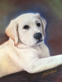 RUFUS