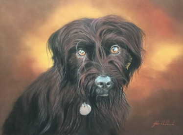 BRACKEN