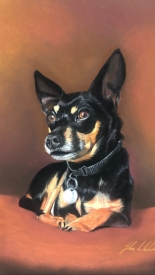 SAM