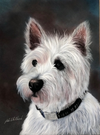 SCOTTIE
