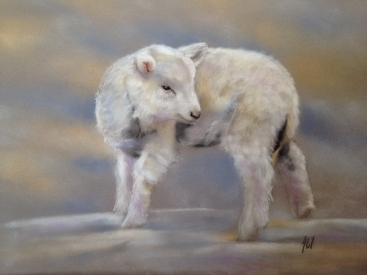 LAMB