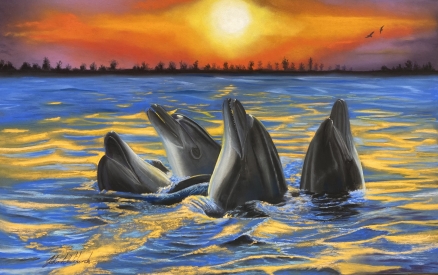DOLPHIN QUARTET