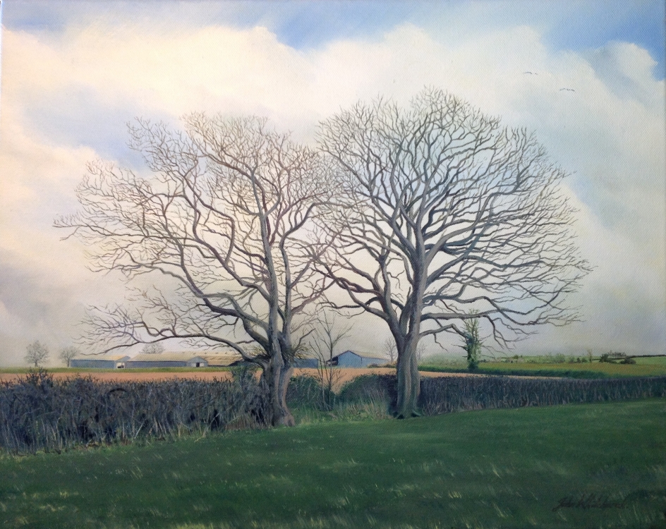OAKENFORD FARM