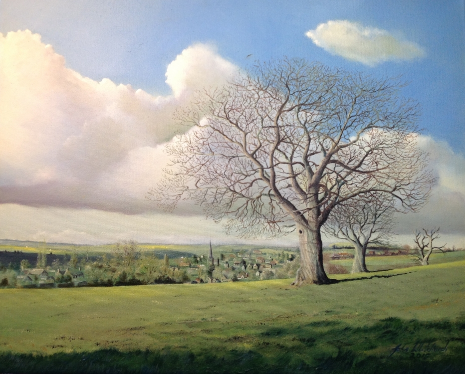 CARY OAK