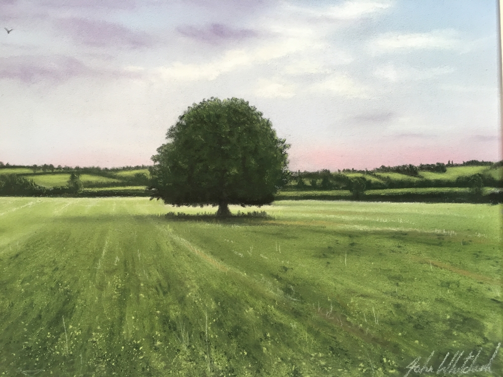LONE TREE