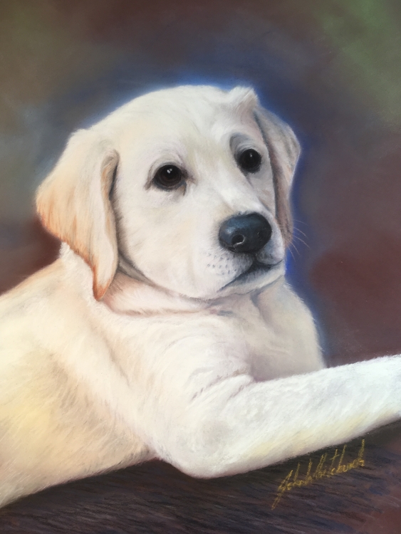 RUFUS