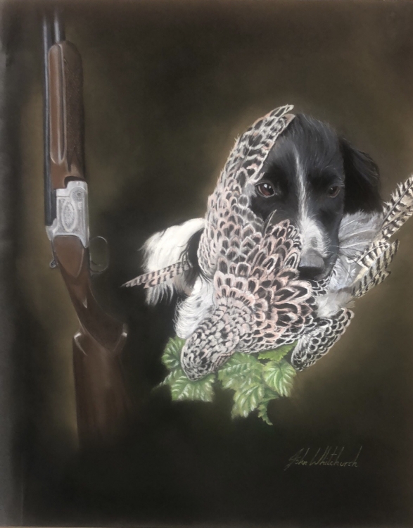 GUN DOG