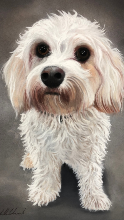 LUKA