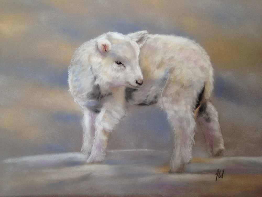 LAMB