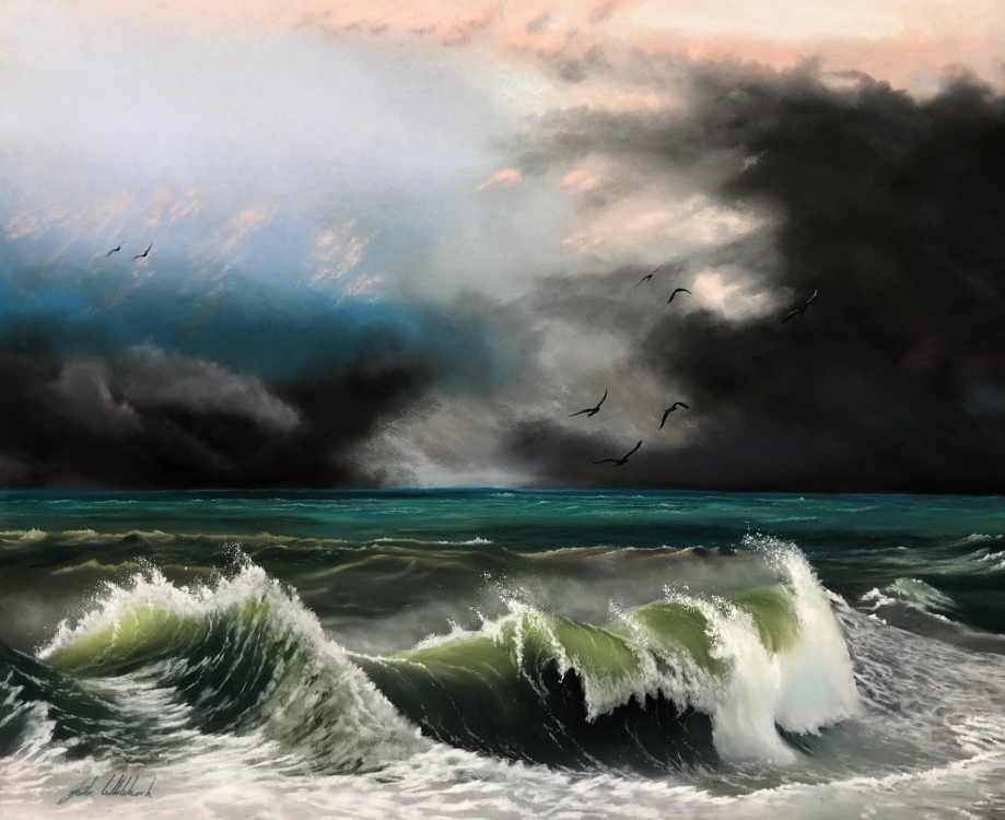 STORM BIRDS