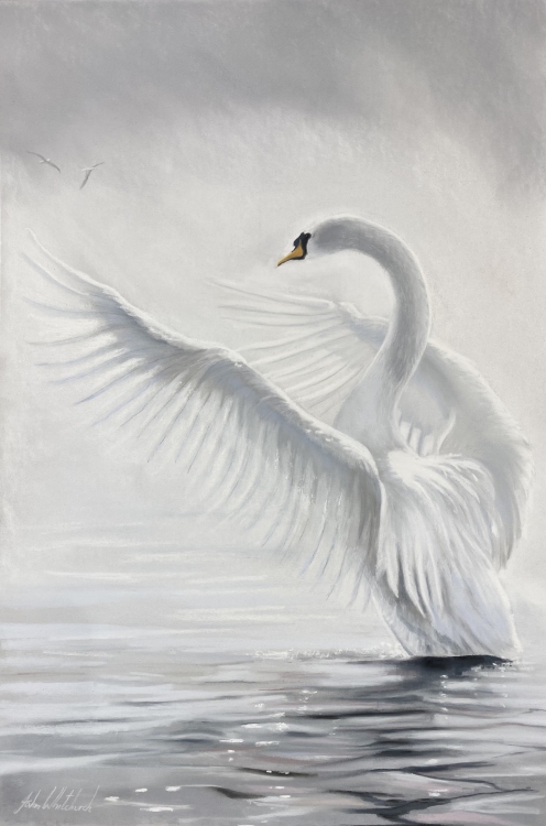 ETHEREAL SWAN ETHEREAL SWAN